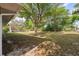A backyard featuring a large tree shading the back of the house at 3427 Charmwood Ave, Spring Hill, FL 34609