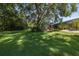 Expansive back yard with lush green lawn and mature trees, perfect for outdoor activities at 3609 Montclair Dr, New Port Richey, FL 34655