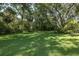 Expansive grassy backyard area with plenty of mature trees and greenery at 3609 Montclair Dr, New Port Richey, FL 34655
