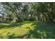 Expansive grassy backyard area with plenty of mature trees and greenery at 3609 Montclair Dr, New Port Richey, FL 34655