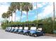 A row of golf carts parked with palm trees and beautiful sky in the background at 3627 Muirfield Ct # 3627, New Port Richey, FL 34655
