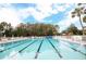 A serene pool with trees surrounding it offers a relaxing spot to unwind and enjoy the outdoors at 3627 Muirfield Ct # 3627, New Port Richey, FL 34655