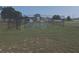 Outdoor community basketball court with green playing surface inside a black chain link fence at 3631 Celebration Dr, Brooksville, FL 34604