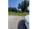 Expansive grassy yard with mature landscaping and ample space for various activities at 410 Houle Ave, Sarasota, FL 34232