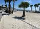 A picturesque beach with palm trees, picnic areas, soft sand, and a tranquil ocean backdrop for leisure at 4726 Marine Pkwy # 104, New Port Richey, FL 34652