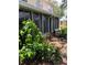 Exterior view of sunroom with lush landscaping and garden at 7802 Hardwick Dr # 1116, New Port Richey, FL 34653