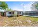 Backyard showing the pool and enclosed cage, the side of the house, and a small backyard tree at 7810 Chalafonte Dr, Port Richey, FL 34668