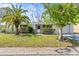 Charming home with front lawn, mature palm, and tidy landscaping at 7810 Chalafonte Dr, Port Richey, FL 34668