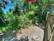 Lush backyard garden featuring a diverse mix of green plants, bushes and trees within a private outdoor space at 7861 Raintree Dr, New Port Richey, FL 34653