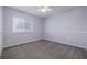 Bedroom with carpet flooring, purple paint, and natural light from a window at 8526 Hawbuck St, Trinity, FL 34655