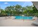 Community pool surrounded by lounge chairs and lush green trees at 8700 Wind Mill Dr, New Port Richey, FL 34655