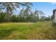 Large backyard with ample green space, fenced perimeter and surrounded by trees at 10380 Yellow Hammer Rd, Weeki Wachee, FL 34614