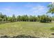 Lush backyard featuring mature trees offering lots of privacy at 14031 Hexam Rd, Brooksville, FL 34613