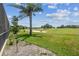 Green backyard with tropical plants and view of the neighborhood golf course at 18223 Nestlebranch Ct, Hudson, FL 34667