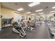 Community gym features cardio machines and weight-training equipment at 18223 Nestlebranch Ct, Hudson, FL 34667