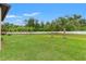 Spacious backyard featuring a lush lawn and mature palm trees, perfect for relaxation and outdoor activities at 1987 Trillium Blvd, Brooksville, FL 34604
