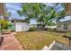 View of the backyard featuring a storage shed, chain-link fence, and a spacious grassy area at 2012 Warrington Way, Tampa, FL 33619