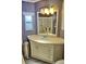 Bathroom vanity with sink, mirror and modern lighting at 21040 Lazy Days Cir, Lutz, FL 33558