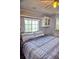 Bedroom with large bed, built in storage cabinets, and a ceiling fan at 21040 Lazy Days Cir, Lutz, FL 33558