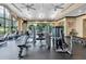 Well-equipped community gym with modern cardio machines, weightlifting equipment, and large windows at 3051 Francoa Dr, Odessa, FL 33556