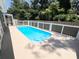 Backyard pool with a clear blue water surrounded by a concrete patio, a white fence and green trees at 3304 Honeymoon Ln, Holiday, FL 34691