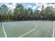 Well-maintained community basketball court with lighting and fencing surrounded by trees at 4215 Maplehurst Way, Spring Hill, FL 34609