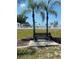 Relax under the shade of two palm trees on a wooden bench near the pool at 4221 San Rafael Ave, New Port Richey, FL 34655
