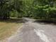 Gravel driveway leading into a heavily treed lot at 7323 Ray Browning Rd, Brooksville, FL 34601