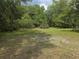 Cleared yard surrounded by many trees and greenery at 7323 Ray Browning Rd, Brooksville, FL 34601