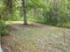 A partially cleared yard with many trees and other natural landscaping at 7323 Ray Browning Rd, Brooksville, FL 34601