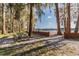 A picnic table near the beach provides a great view of the lake surrounded by trees at 8755 Marigold Dr, New Port Richey, FL 34654
