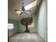 Bedroom with ceiling fan and a mural of a tree on the wall at 8755 Marigold Dr, New Port Richey, FL 34654