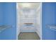 Walk-in closet with carpet and multiple shelves for storage at 8755 Marigold Dr, New Port Richey, FL 34654