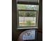 Bright window view of the front yard with trees and street at 9967 Patrician Dr, New Port Richey, FL 34655