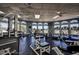 Well-equipped gym with large windows and natural light, featuring modern exercise machines and free weights at 10044 Twelve Oaks Ct, Weeki Wachee, FL 34613
