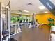 Well-equipped fitness center featuring weight machines and ample space for exercise at 1033 Ashbourne Cir, Trinity, FL 34655