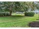 A shot of the lawn, trees and greenery including some wild turkeys at 1033 Ashbourne Cir, Trinity, FL 34655