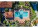 Overhead shot of a pool with palm trees and lounge chairs; the building is visible in the background at 10531 Pontofino Cir, Trinity, FL 34655