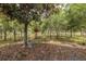 Shaded backyard with mature trees and decorative accents at 11404 Inman Ct, Spring Hill, FL 34609