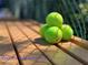 Tennis balls stacked on the bench for your enjoyment at the SummerTree tennis court at 11733 Bayonet Ln, New Port Richey, FL 34654