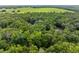Lush landscape surrounding a home that is set far back on the property with lush, mature trees at 12085 Stringer Rd, Brooksville, FL 34601