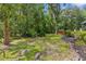 Spacious backyard featuring an outbuilding and lush landscaping at 12085 Stringer Rd, Brooksville, FL 34601