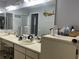 Bathroom featuring double sinks, a large mirror, vanity, and fish decorations on the wall at 13316 Brigham Ln, Hudson, FL 34667