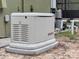 Image of a home generator ensuring uninterrupted power supply at 34335 Berryhill Dr, Webster, FL 33597