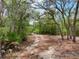 Photo of a dirt driveway providing access to the property at 34335 Berryhill Dr, Webster, FL 33597