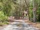Long treed driveway leading to a private property at 34335 Berryhill Dr, Webster, FL 33597