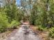 Image of a long treed driveway accessing a private property at 34335 Berryhill Dr, Webster, FL 33597