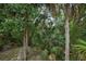 Lush foliage fills the backyard, showcasing dense trees and diverse greenery for a private and natural setting at 5747 Fieldspring Ave, New Port Richey, FL 34655