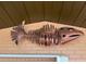 A decorative metal fish skeleton mounted on the brick wall above the window at 6601 Nautical Isle, Hudson, FL 34667