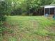 Spacious backyard filled with lush greenery and surrounded by trees at 7100 Ashwood Dr, Port Richey, FL 34668